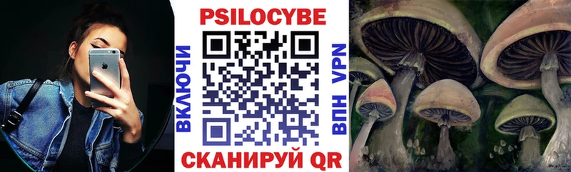 Псилоцибиновые грибы мицелий  как найти закладки  Пролетарск 